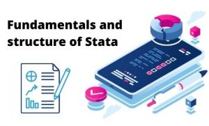 Stata Fundamental and structure